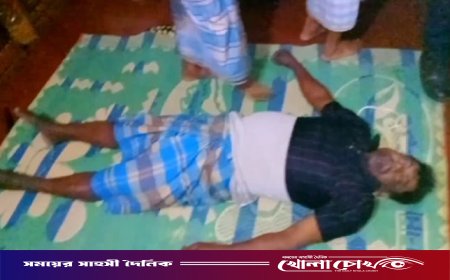 বিজয়নগরে প্রবাসীর রহস্যজনক মৃত্যু