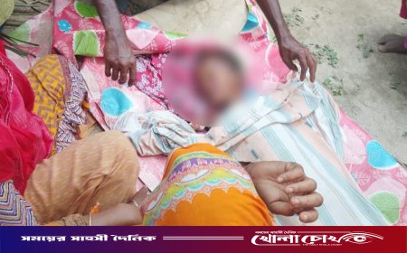 নওগাঁর আত্রাইয়ে ভ্যান উল্টে শিশুর মর্মান্তিক মৃত্যু