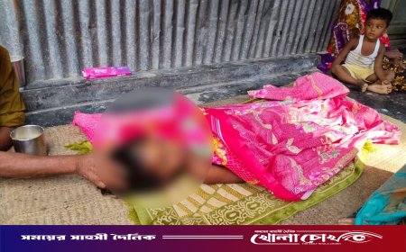 ফরিদপুরের মধুখালীতে পানিতে ডুবে শিশুর মর্মান্তিক মৃত্যু