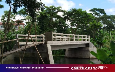 নেই সংযোগ সড়ক,২৭ লাখ টাকার সেতুতে উঠতে হয় মই বেয়ে