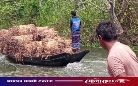 কচুরিপানা থেকে বৈদেশিক মুদ্রা অর্জন