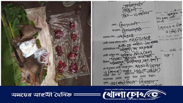 বেগমগঞ্জে শিয়ালের মাংস বিক্রি: ভ্রাম্যমাণ আদালতে ২ জনের কারাদণ্ড