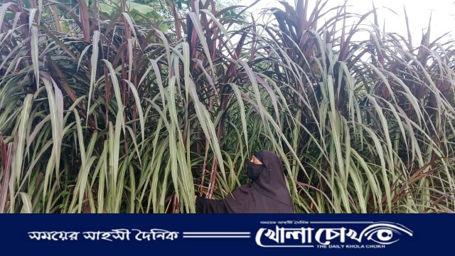 ঘাস থেকে গুড় তৈরি করে অভাবকে জয় করে মিষ্টি গুড়ে ভাগ্য বদল খাদিজার