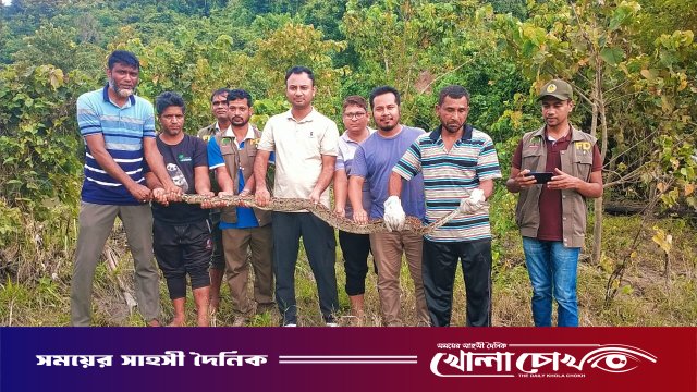 কাপ্তাই জাতীয় উদ্যানে ৮ ফুট দীর্ঘ অজগর সাপ অবমুক্ত