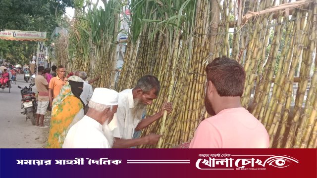 আখের ফলনে কৃষক খুশি, তেতো দামে হতাশ ক্রেতা