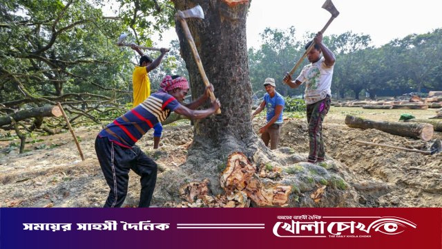 রাস্তার পাশের গাছ কেটে বসানো হচ্ছে পাইপ