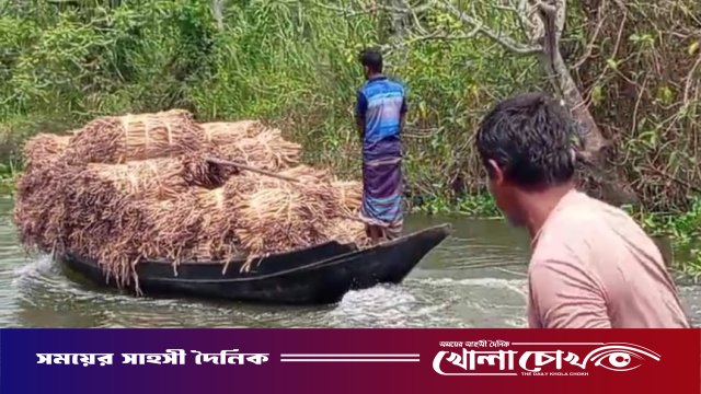 কচুরিপানা থেকে বৈদেশিক মুদ্রা অর্জন