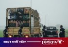 রাজবাড়ী-কুষ্টিয়া মহাসড়কে র‌্যাব পরিচয়ে মুরগি বোঝাই ভ্যান ছিনতাই