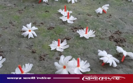 মাগুরায় শরতের ভোরে শিউলির ঘ্রাণ, শিশিরে লেখা সাদা কবিতা