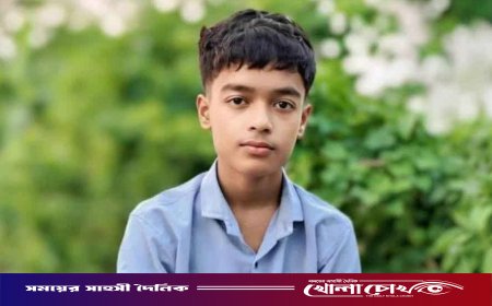 রাজবাড়ীতে বিষাক্ত সাপের কামড়ে কিশোরের মৃত্যু