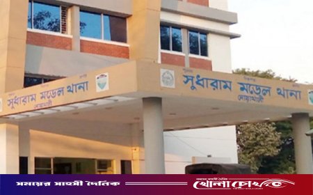 মাছ ধরতে গিয়ে বজ্রপাতে দিনমজুরের মৃত্যু