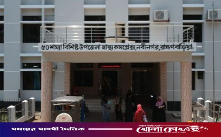 নবীনগরে ভিমরুলের কামড়ে শিশুর করুণ মৃত্যু