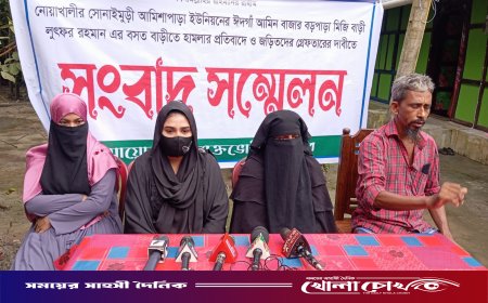 নারী ইউপি সদস্যের বিরুদ্ধে প্রবাসীর বসতঘরে হামলা ও মিথ্যা মামলায় হয়রানির অভিযোগে