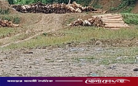 রুমা বাস টার্মিনালের পাশে কাঠের স্তূপে জনস্বার্থ হুমকির মুখে