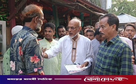 পিরোজপুরে বিএনপির ৩১ দফার লিফলেট বিতরণ ও গণসংযোগ অনুষ্ঠিত