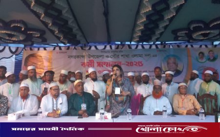 বিএনপি ক্ষমতায় গেলে রোহিঙ্গা সমস্যার সমাধান হবে- ইনশাআল্লাহ্ : শামা ওবায়েদ