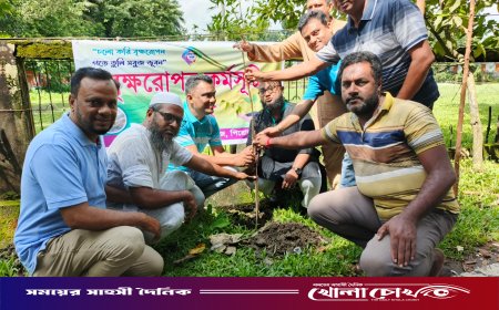 পিরোজপুরের এমিনেন্ট বয়েজ এর উদ্যোগে ৩ দিনব্যাপী বৃক্ষরোপণ কর্মসূচি অনুষ্ঠিত