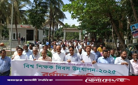 বিশ্ব শিক্ষক দিবস উদযাপন উপলক্ষে পিরোজপুরে বর্ণাঢ্য র‌্যালি ও আলোচনা সভা অনুষ্ঠিত