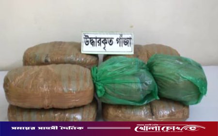 রাজশাহীতে বিপুল পরিমান গাঁজা উদ্ধার