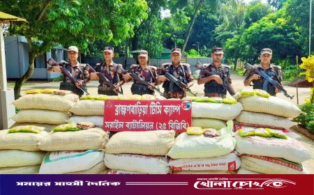 বিজয়নগরে বিজিবির বিশেষ অভিযানে বিপুল পরিমাণ চোরাচালানী পণ্য ও মাদকদ্রব্য আটক
