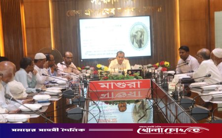 মাগুরায় আন্তর্জাতিক প্রবীন দিবস উপলক্ষে র‍্যালি ও আলোচনা সভা