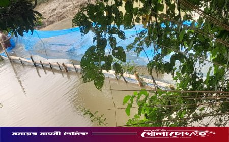 আলফাডাঙ্গায় বানা খালে অবৈধ বাঁধ নির্মাণে এক ব্যক্তির এক বছরের কারাদণ্ড