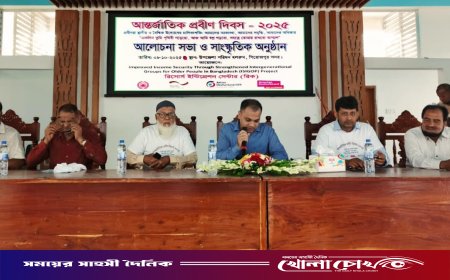 রিকের উদ্যোগে পিরোজপুরে আন্তর্জাতিক প্রবীণ দিবস পালিত