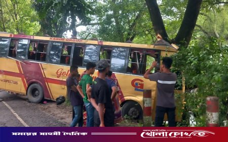 ফরিদপুরে সড়ক দুর্ঘটনায় গোল্ডেন লাইন পরিবহনের চালক আহত