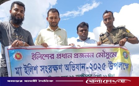 কাউখালীতে মা ইলিশ সংরক্ষণে প্রশাসনের কঠোর অভিযান অব্যাহত