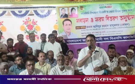 কালকিনিতে বিএনপির সদস্য নবায়ন ও ফর্ম বিতরণ অনুষ্ঠান অনুষ্ঠিত