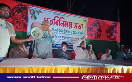 বালিয়াকান্দিতে ব্যারিস্টার মানিকের মতবিনিময় সভা অনুষ্ঠিত