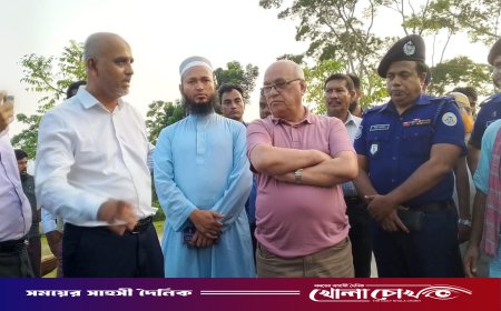 দুর্যোগ ব্যবস্থাপনা ও ত্রাণ মন্ত্রণালয়ের উপদেষ্টার নেছারাবাদ পরিদর্শন