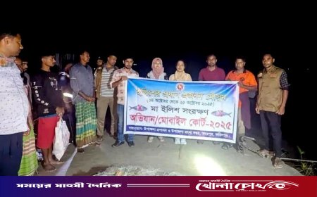 ফরিদপুরে মা ইলিশ রক্ষা অভিযানে ৭ জেলেকে কারাদণ্ড