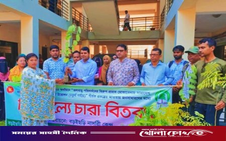 জলবায়ু পরিবর্তনের প্রভাব মোকাবেলায় কাপ্তাইয়ে বিনামূল্যে চারা বিতরণ