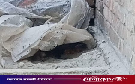 খোকসায় নিখোঁজের তিনদিন পর শাহিনের মরদেহ উদ্ধার