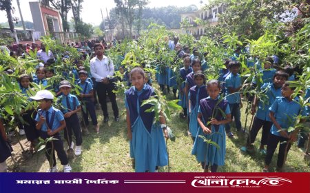 ফরিদপুরে শিক্ষার্থীদের মাঝে লংকাবাংলা ফাউন্ডেশনের আম গাছের চারা বিতরণ