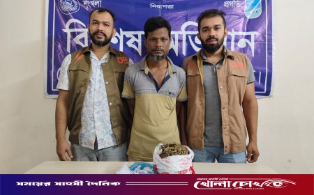 আশুলিয়ায় ডিবি পুলিশের অভিযানে গাঁজাসহ মাদক ব্যবসায়ী আটক