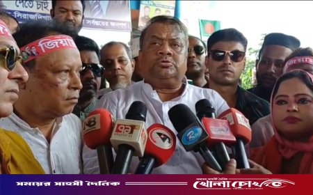 ফ্যাসিবাদের মূল হোতা শেখ হাসিনার লক্ষ্য নির্বাচন প্রশ্নবিদ্ধ করা: মীর সরফত আলী সপু