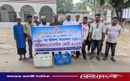 সদরপুরে অবৈধভাবে মাছ ধরায় ৮০ হাজার মিটার জাল জব্দ