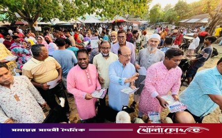রাণীনগরে বিএনপির রাষ্ট্র কাঠামো মেরামতের ৩১ দফা লিফলেট বিতরণ ও গণসংযোগ
