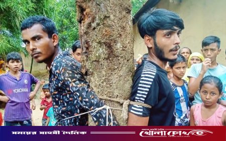 নিরাপত্তাহীনতায় চাউরা আলীনগর: মাদকসেবীদের ভয়ে থানায় এলাকাবাসী