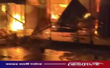 ফরিদপুরের বোয়ালমারীতে ভয়াবহ অগ্নিকাণ্ড, পুড়ে ছাই ১৭ দোকান