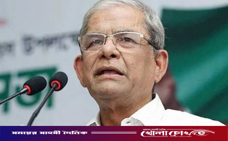 শিক্ষকদের ন্যায্য দাবির প্রতি বিএনপির একাত্মতা, বিশৃঙ্খলার বিরুদ্ধে কঠোর হুঁশিয়ারি