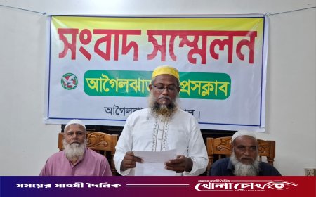 বরিশালের আগৈলঝাড়ায় প্রবাসীকে মারধরের অভিযোগ