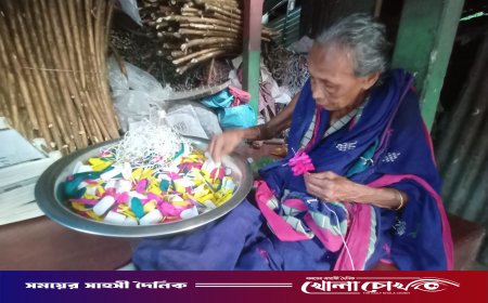 সংকটের মুখে শতবর্ষী ঐতিহ্য, টিকে থাকার লড়াইয়ে মালি সম্প্রদায়
