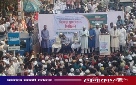 নব্য স্বৈরাচারকে কোন ধরনের সুযোগ দেয়া হবে না - জামায়াত নেতা সেলিম উদ্দিন
