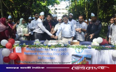 বেরোবিতে বিশ্ব পরিসংখ্যান দিবস পালিত