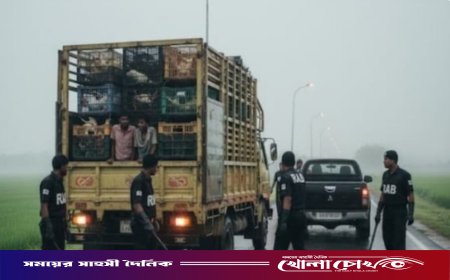 রাজবাড়ী-কুষ্টিয়া মহাসড়কে র্যাব পরিচয়ে মুরগি বোঝাই ভ্যান ছিনতাই