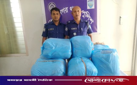 বিজয়নগরে পুলিশের বিশেষ অভিযানে ৪০ কেজি গাঁজা উদ্ধার