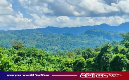 প্রকৃতির অটুট বাঁধন: আলীকদম মাতামুহুরী রিজার্ভের সবুজ মহিমা